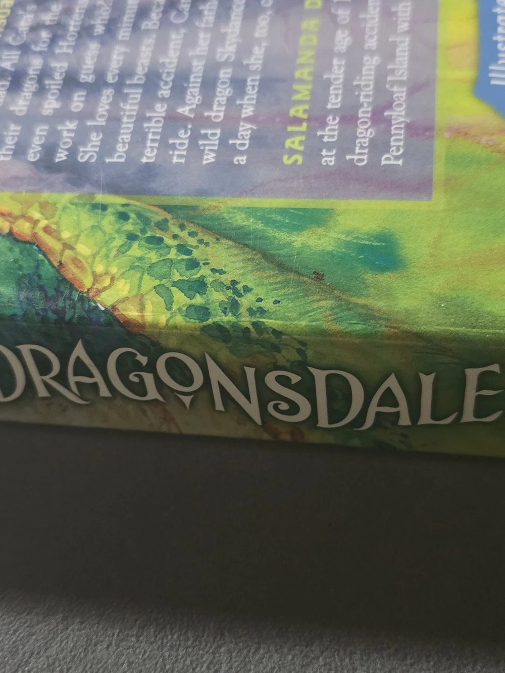 Green Dragonsdale Kids Book IGC